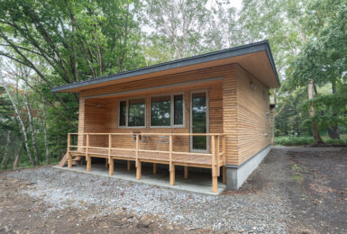 本物の森の中に佇むファサードラタンの家