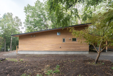 本物の森の中に佇むファサードラタンの家