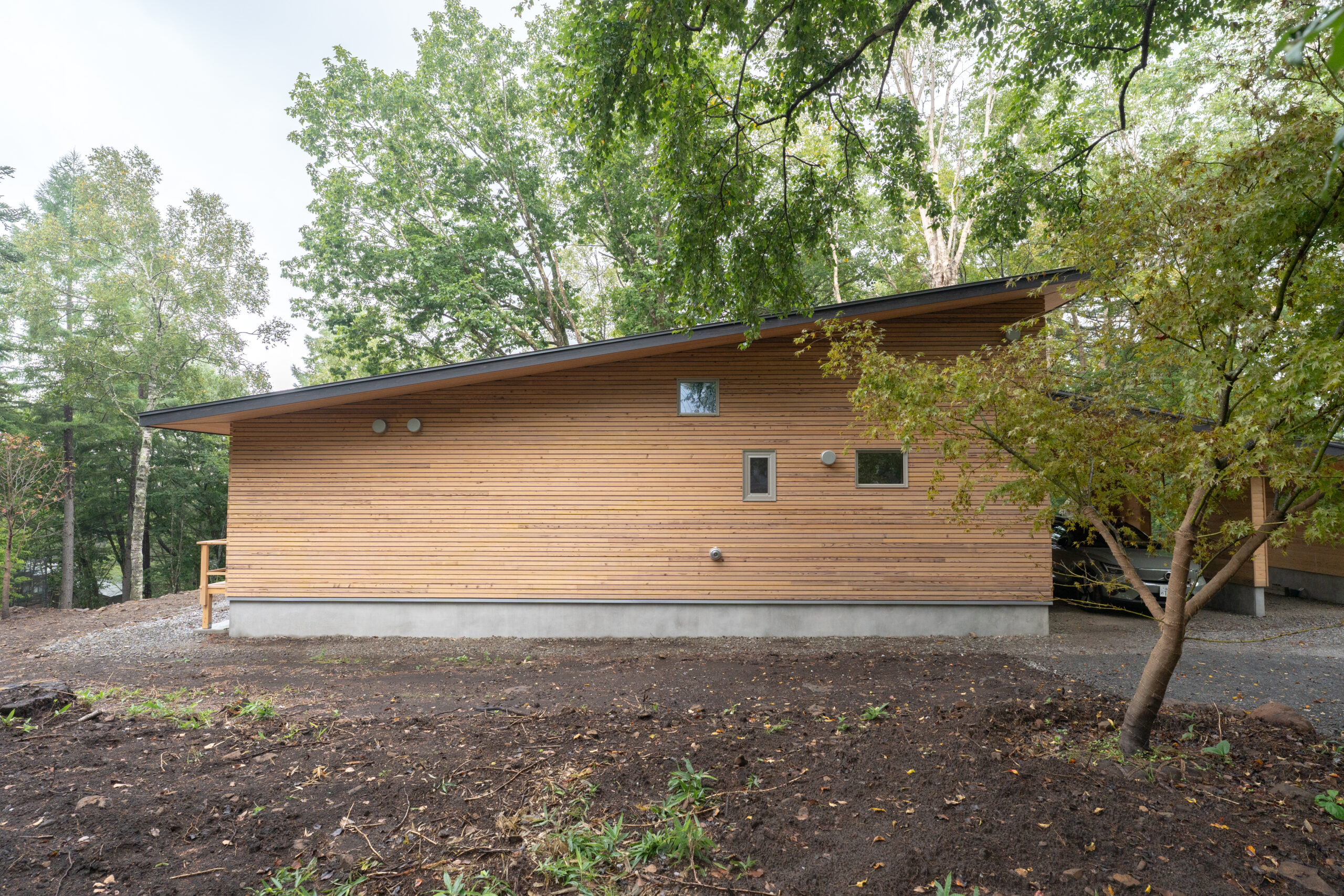 本物の森の中に佇むファサードラタンの家