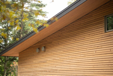 本物の森の中に佇むファサードラタンの家