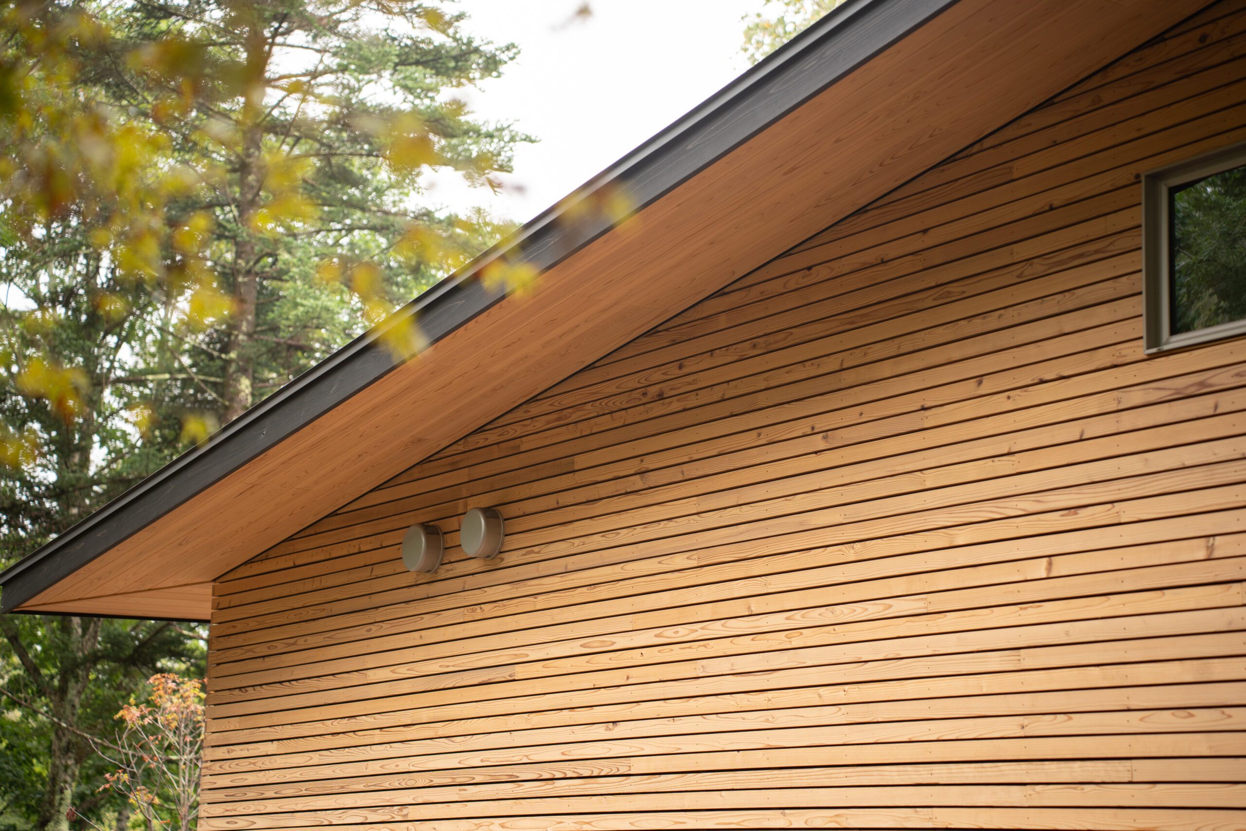 本物の森の中に佇むファサードラタンの家