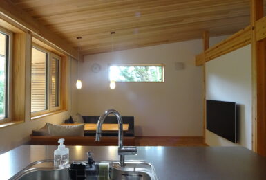 本物の森の中に佇むファサードラタンの家