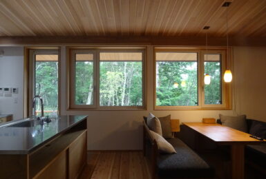 本物の森の中に佇むファサードラタンの家